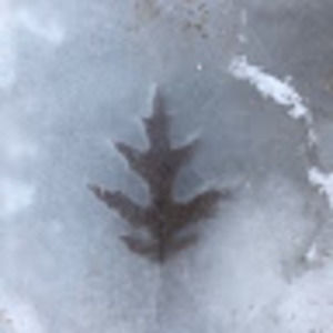 Meet your Posher, Amin